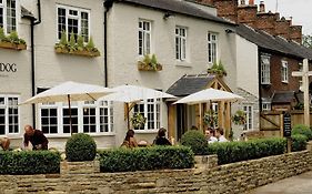 The Dog In Over Peover